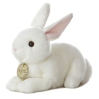 American White Rabbit  - Miyoni
