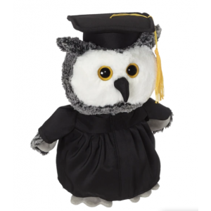 Graduation Owl Buddy